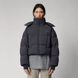 The Arrivals Aer Alpine